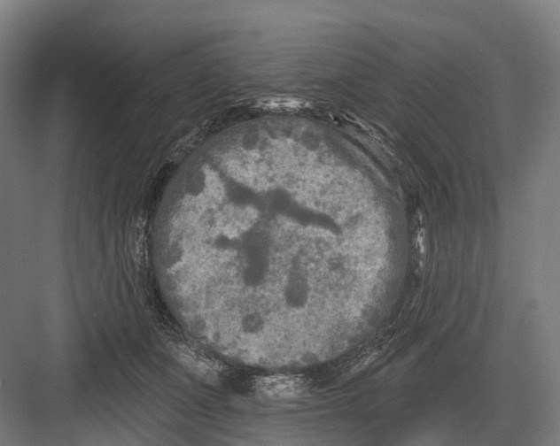 X0000082710511200702161819