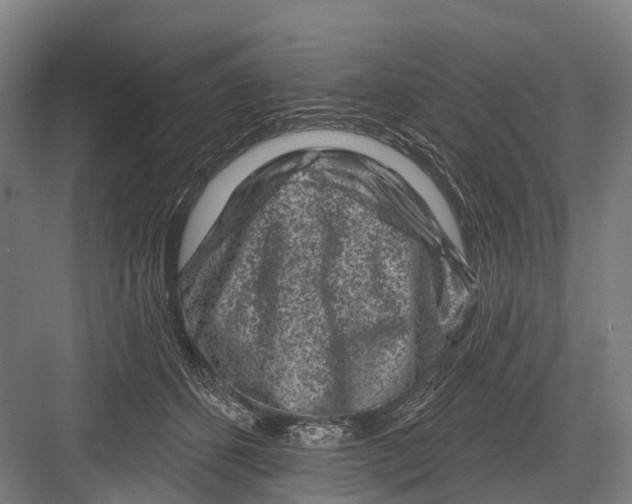 X0000082710512200702161819