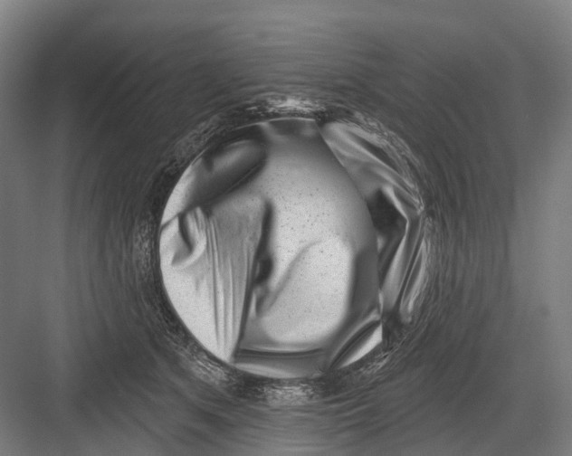 X0000082710513200702161819