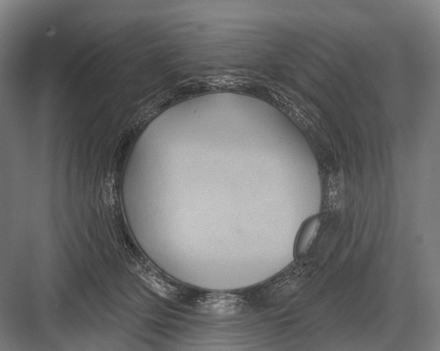 X0000082710514200702161819