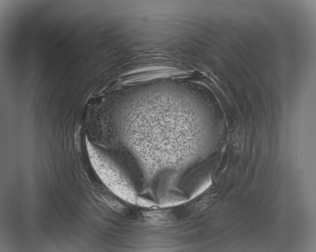 X0000082710516200702161819