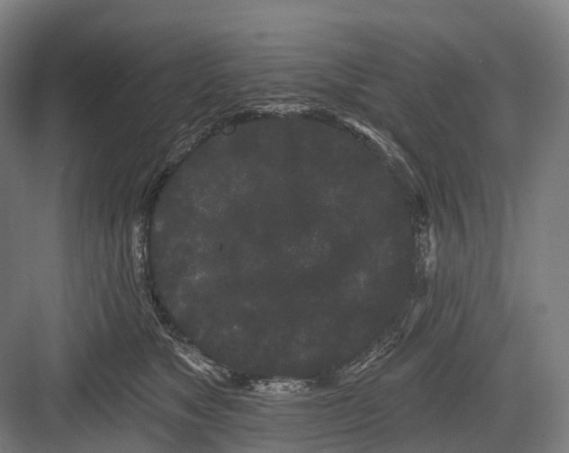 X0000082710517200702161819