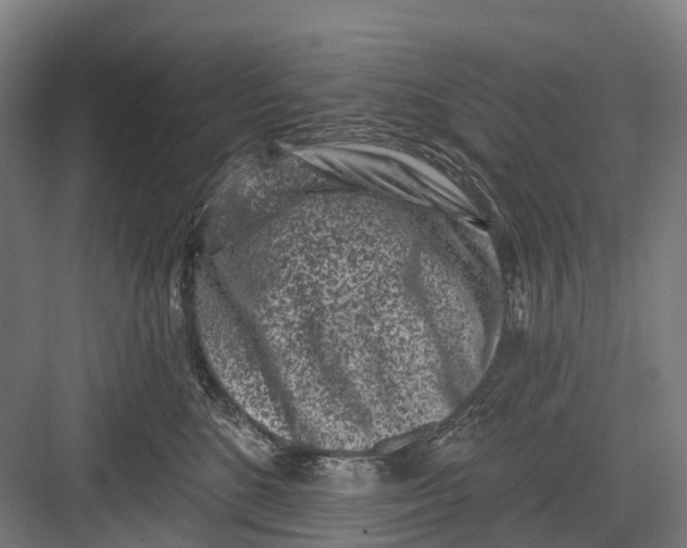 X0000082710520200702161819