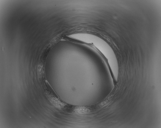 X0000082710521200702161819