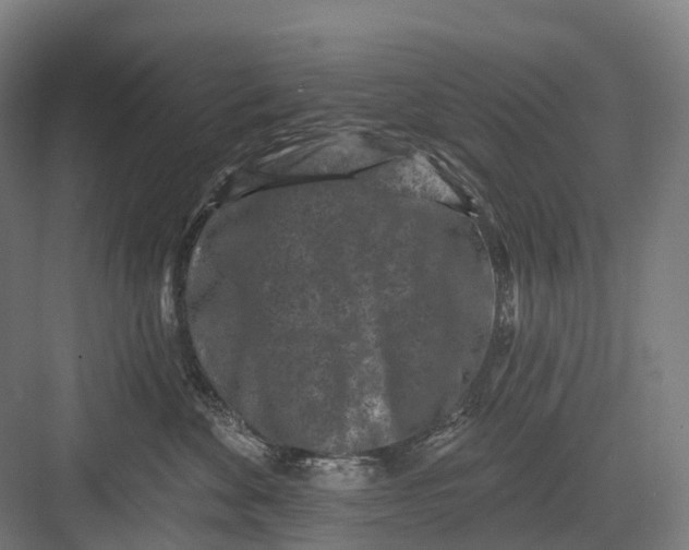 X0000082710524200702161819