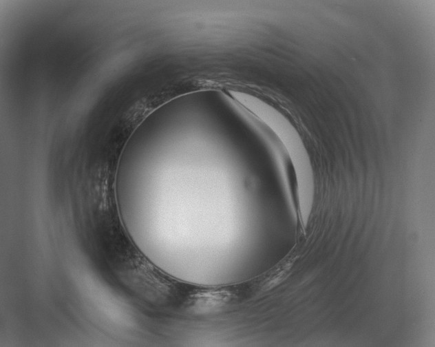 X0000082710525200702161819