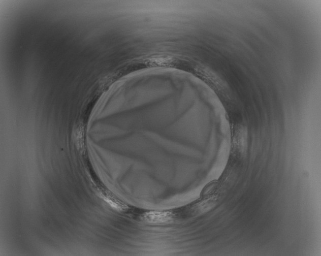 X0000082710526200702161819