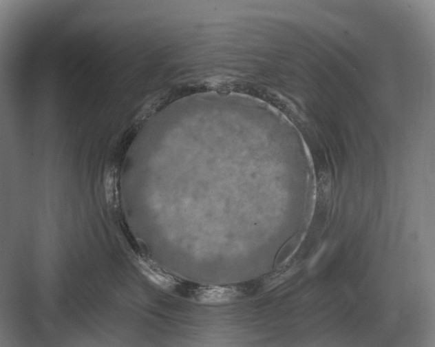 X0000082710527200702161819