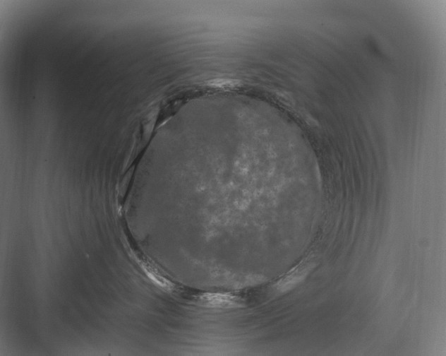 X0000082710528200702161819