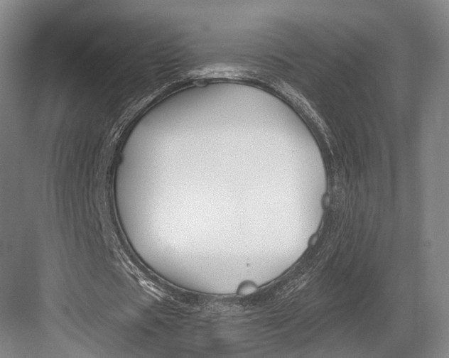 X0000082710529200702161818