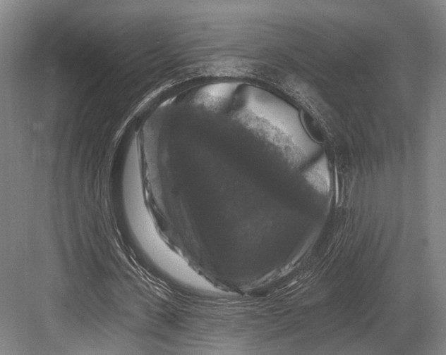 X0000082710531200702161818