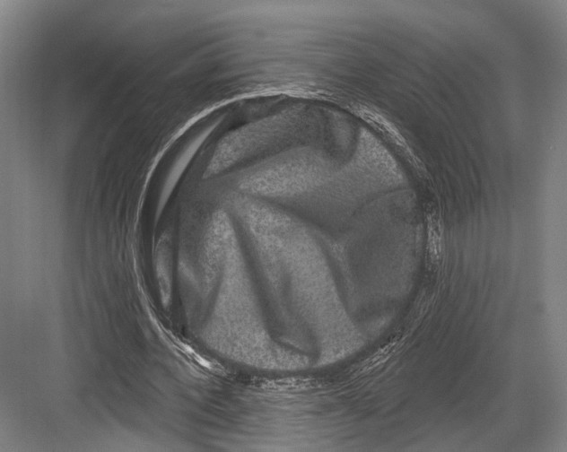 X0000082710532200702161818