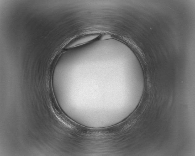 X0000082710533200702161818