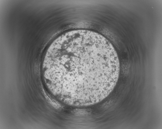 X0000082710534200702161818