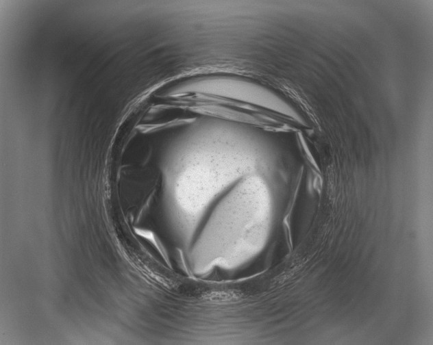 X0000082710536200702161818