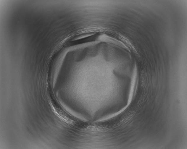 X0000082710538200702161818