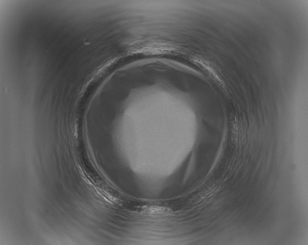 X0000082710539200702161818