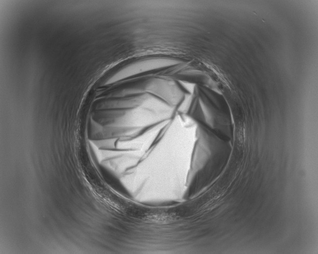 X0000082710540200702161818