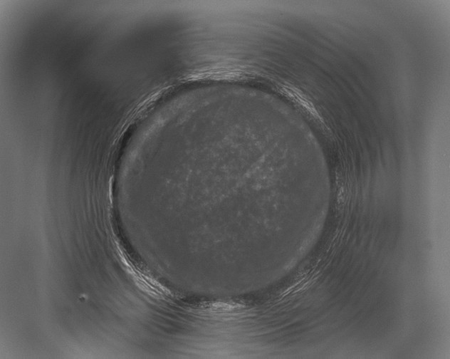 X0000082710542200702161818