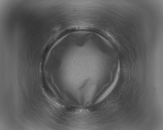 X0000082710543200702161818