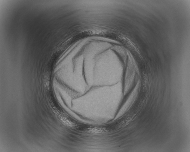 X0000082710545200702161818