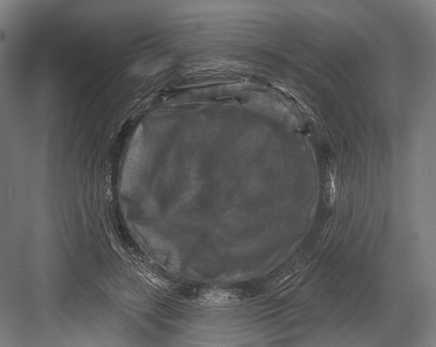 X0000082710547200702161818