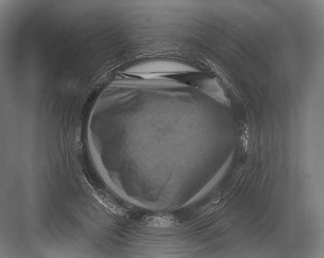 X0000082710548200702161818