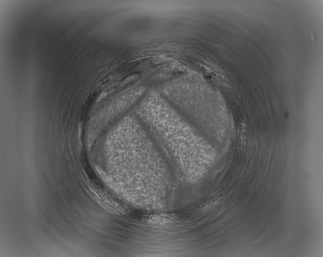 X0000082710550200702161818