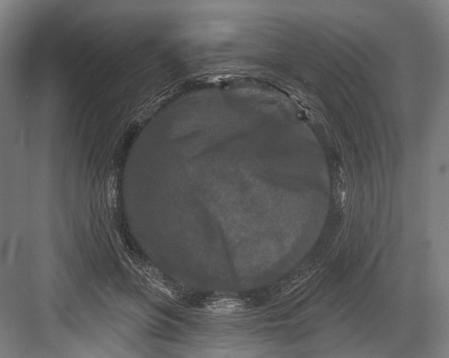 X0000082710551200702161818