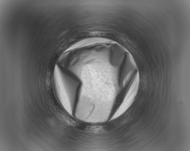 X0000082710554200702161818