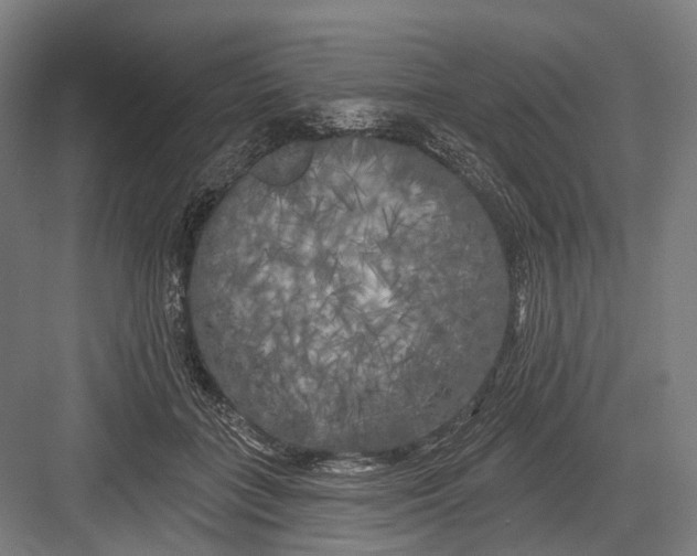 X0000082710555200702161818