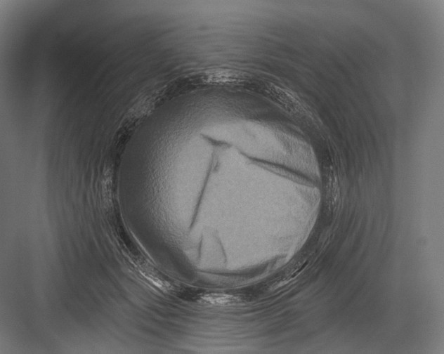 X0000082710557200702161818