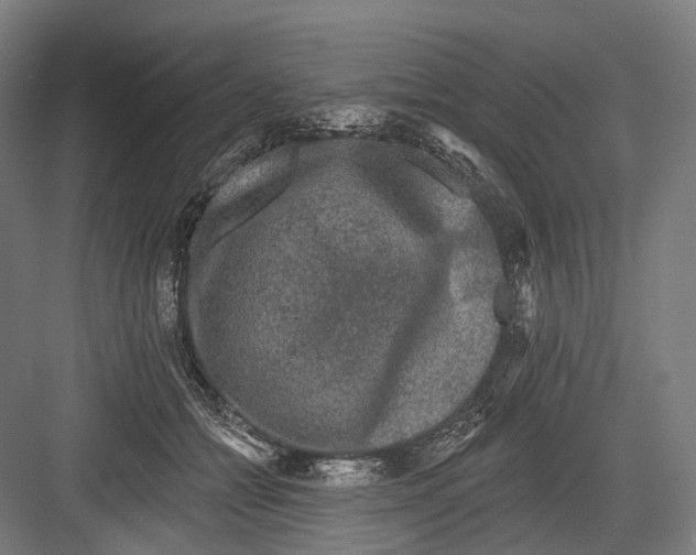 X0000082710558200702161818