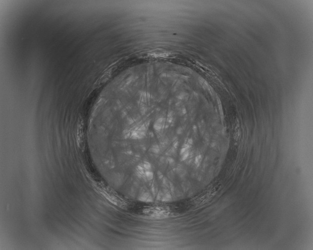 X0000082710559200702161818