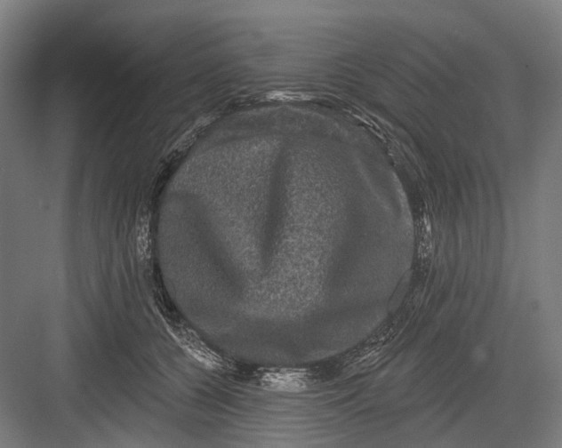 X0000082710560200702161818