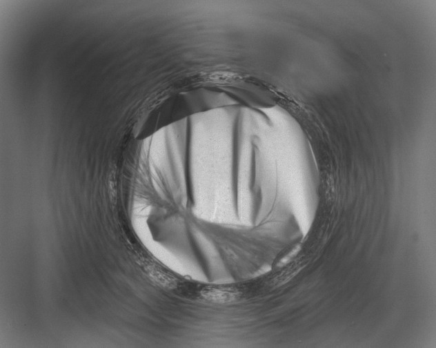 X0000082710561200702161818