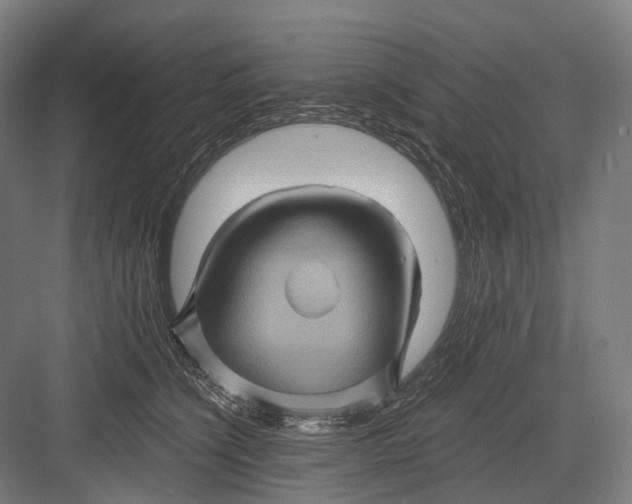 X0000082710564200702161818