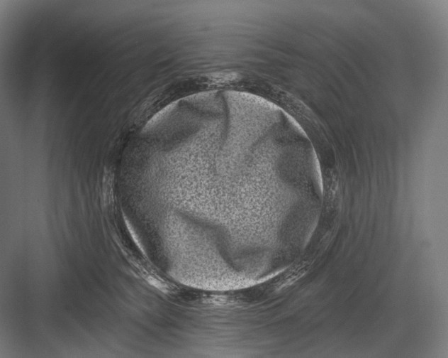 X0000082710565200702161818