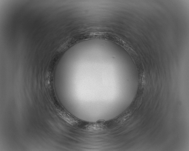 X0000082710567200702161818