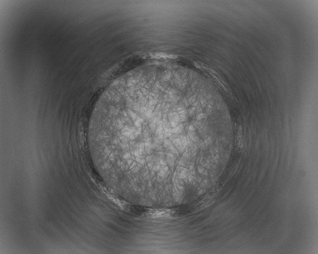 X0000082710569200702161818