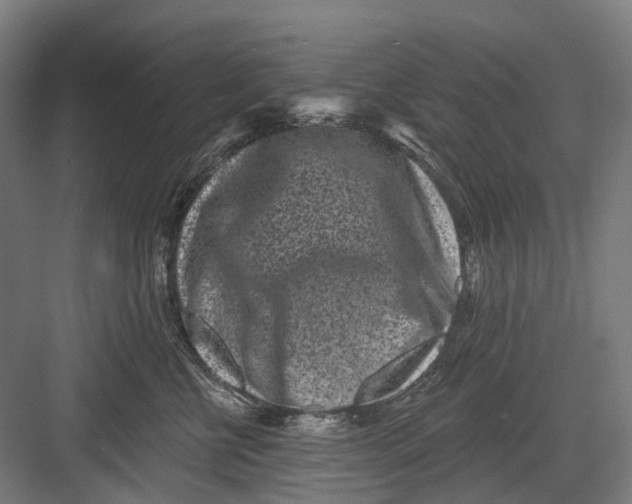 X0000082710570200702161818