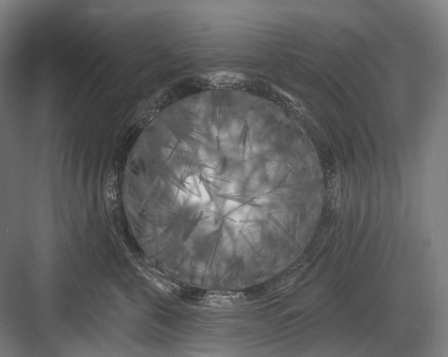 X0000082710571200702161818