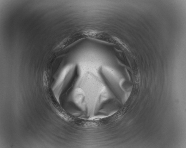 X0000082710572200702161819