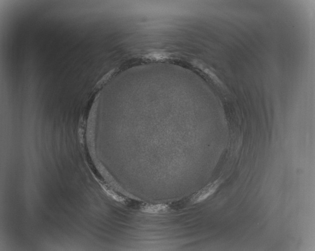 X0000082710576200702161819