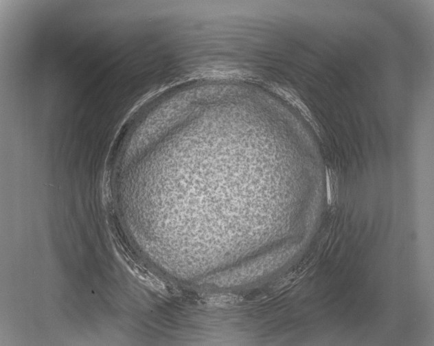 X0000082710579200702161818