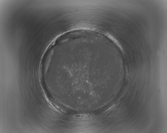 X0000082710580200702161818