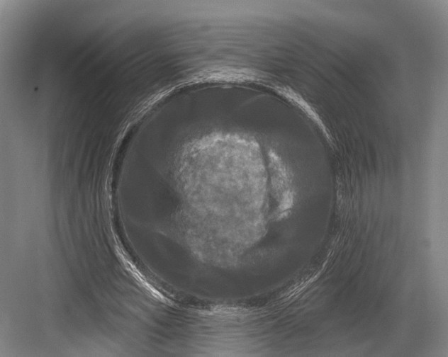 X0000082710581200702161818