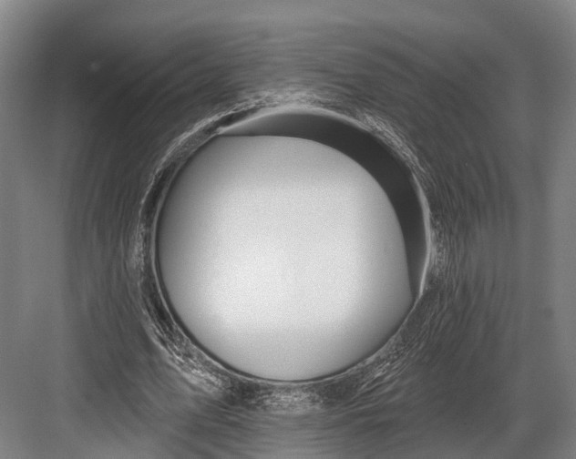 X0000082710583200702161818