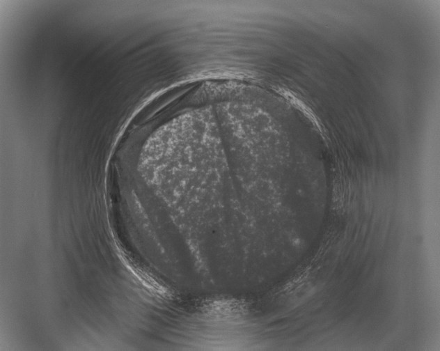 X0000082710584200702161818