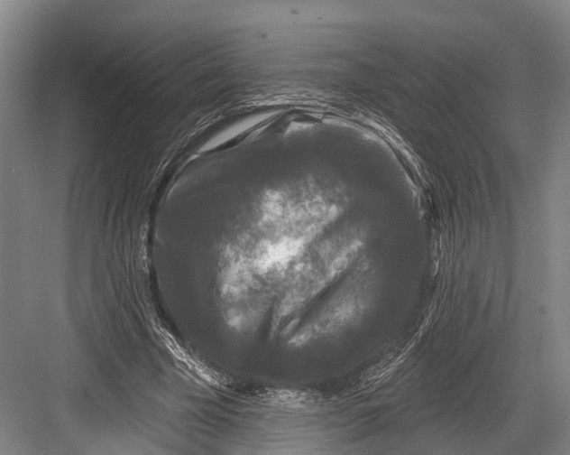 X0000082710585200702161818